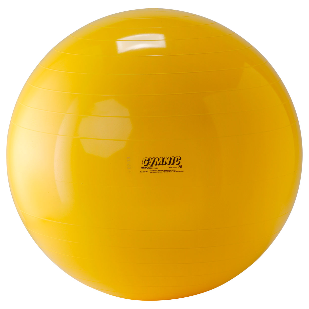 gymnic 65 gymnic 65